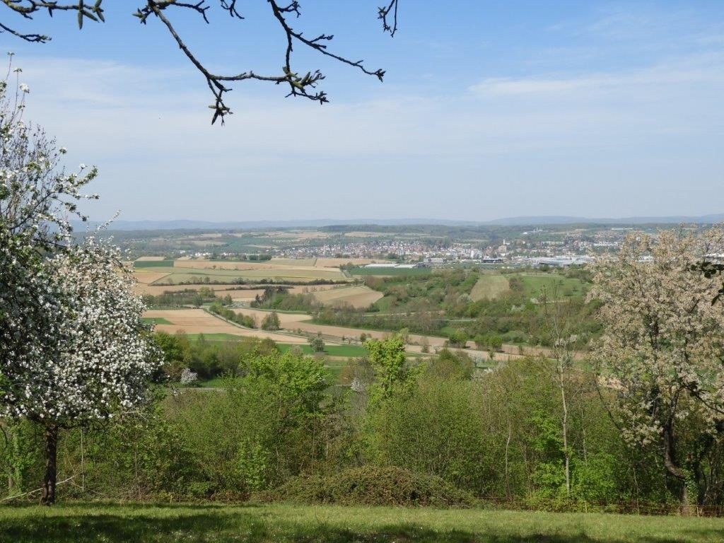 Blick vom einem Hügel auf Obst- und andere Bäume sowie landwirtschaftliche Felder (Foto: Landschaftserhaltungsverband Rhein-Neckar e.V.) Blick vom einem Hügel auf Obst- und andere Bäume sowie landwirtschaftliche Felder (Foto: Landschaftserhaltungsverband Rhein-Neckar e.V.)