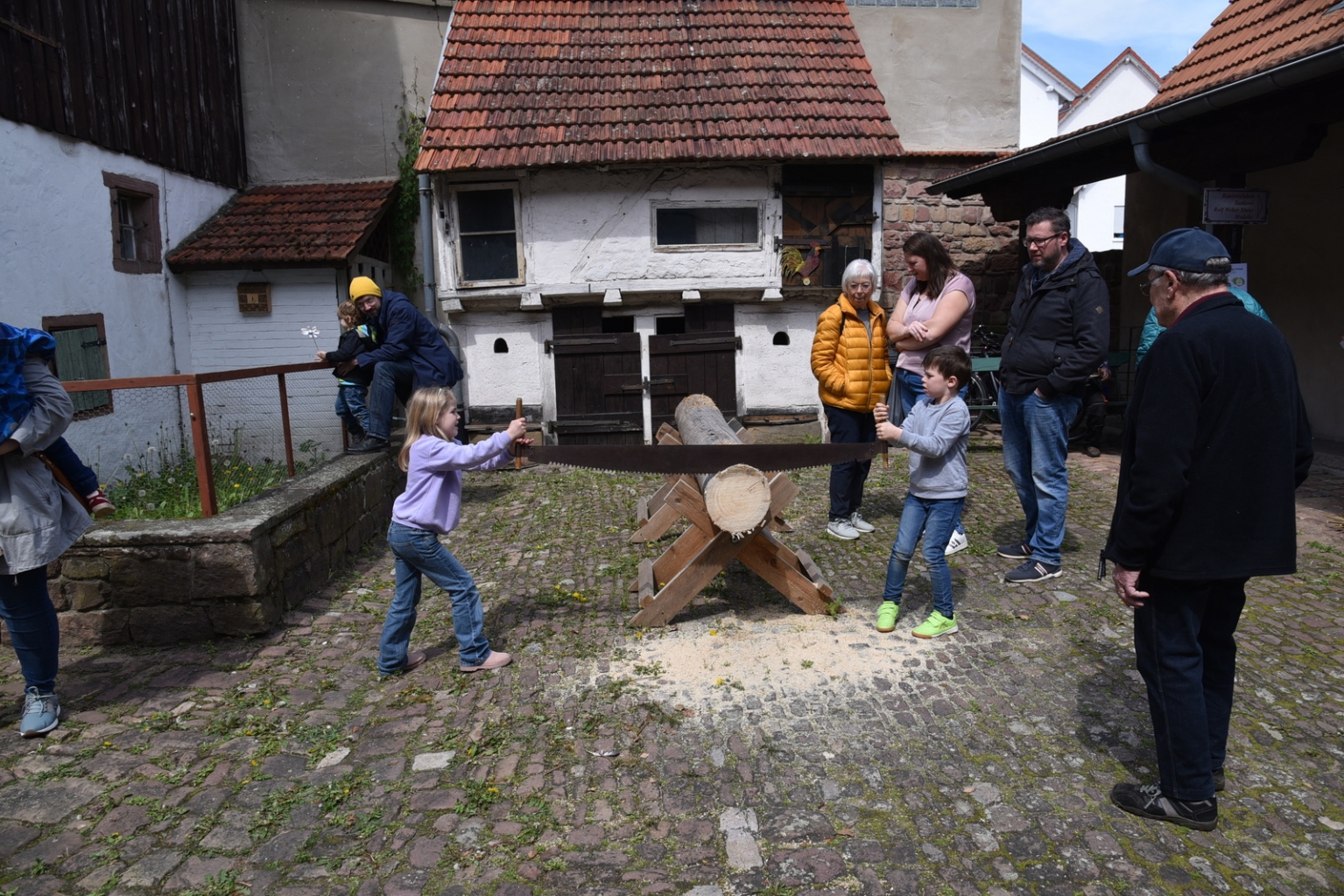 Baumstammsägen war wieder sehr beliebt.