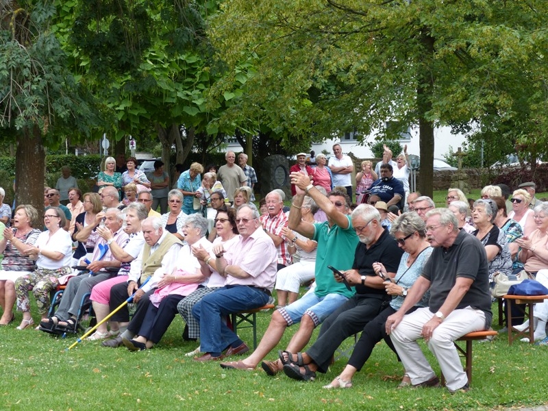 Musik im Park mit Andreas Schweighofer